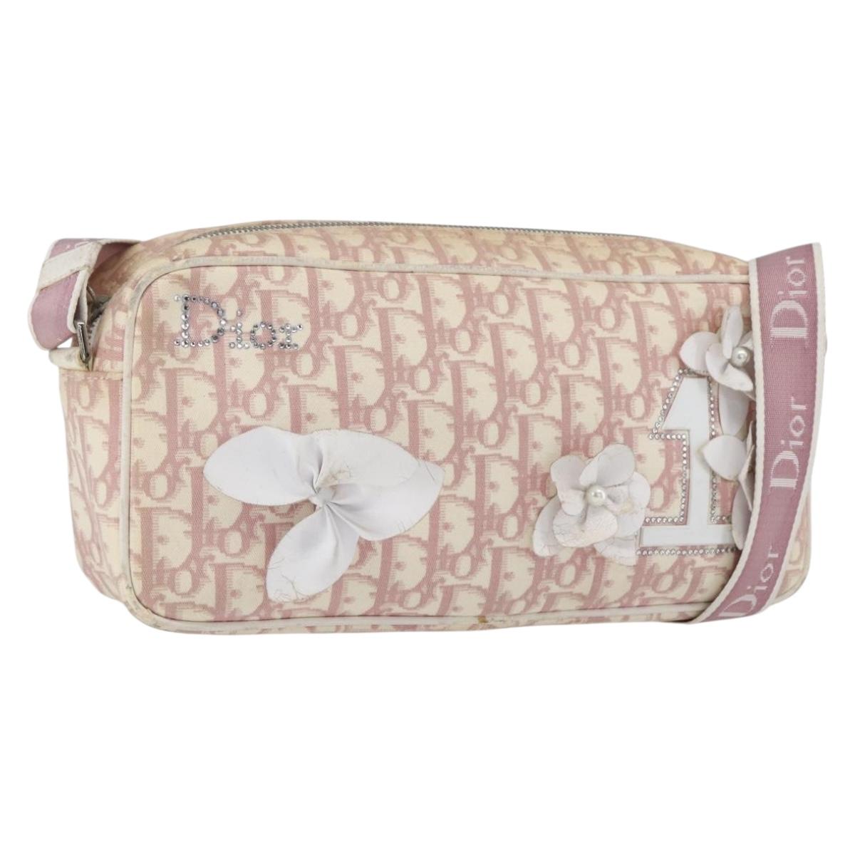Christian Dior Trotter Canvas Shoulder Bag Pink Silver Auth bs32338