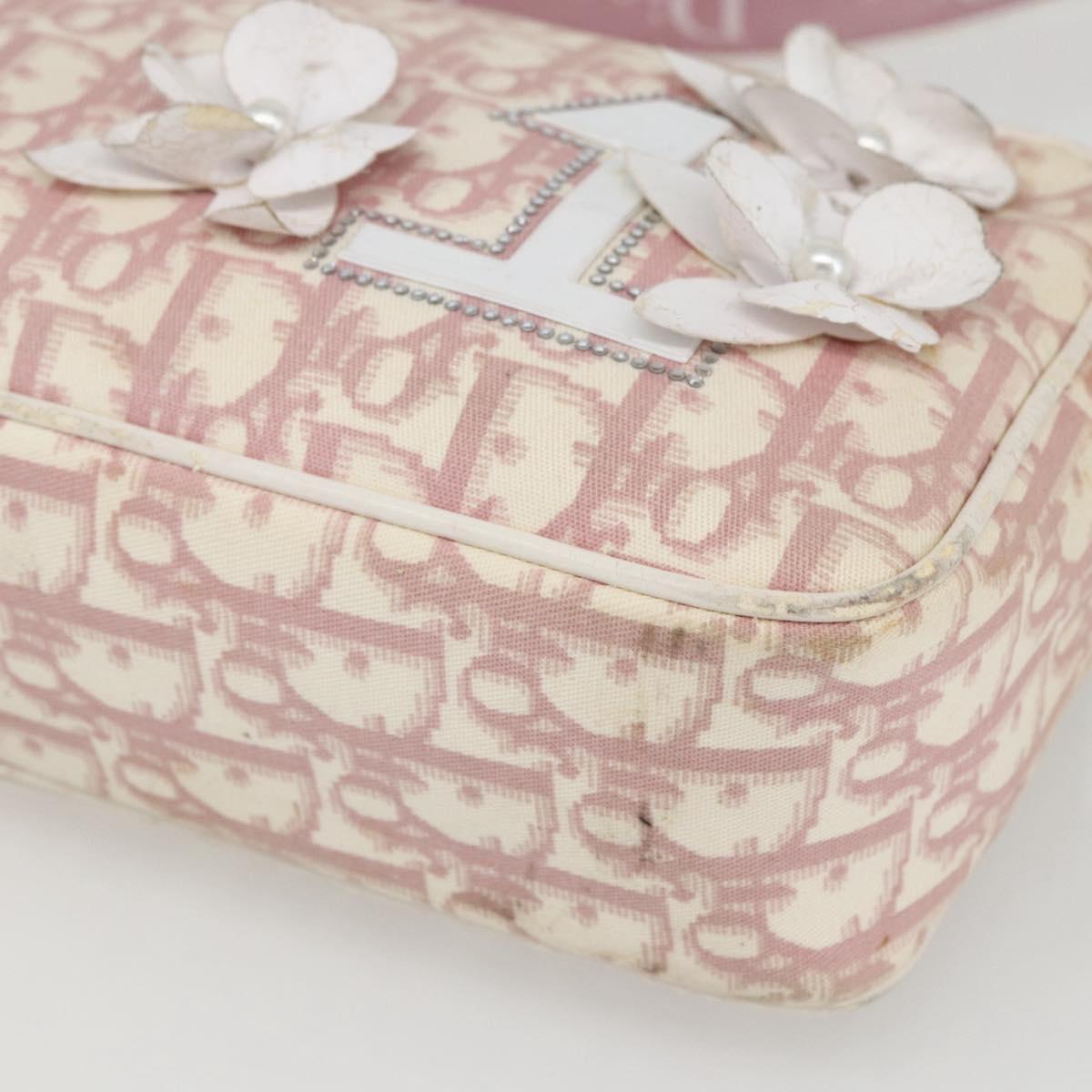 Christian Dior Trotter Canvas Shoulder Bag Pink Silver Auth bs32338