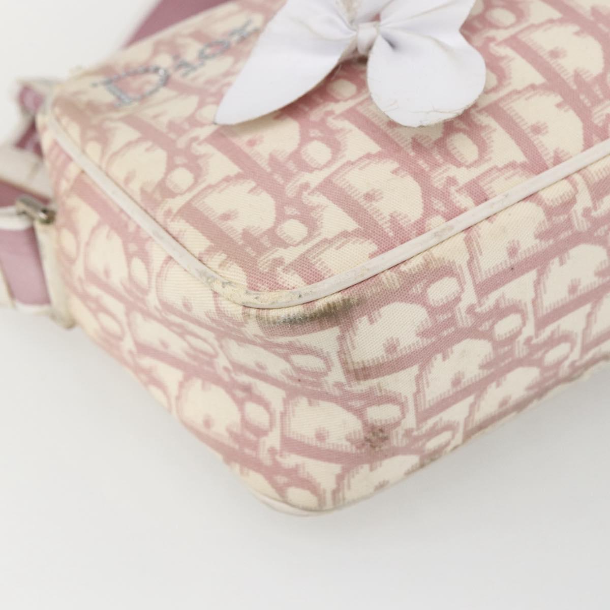 Christian Dior Trotter Canvas Shoulder Bag Pink Silver Auth bs32338