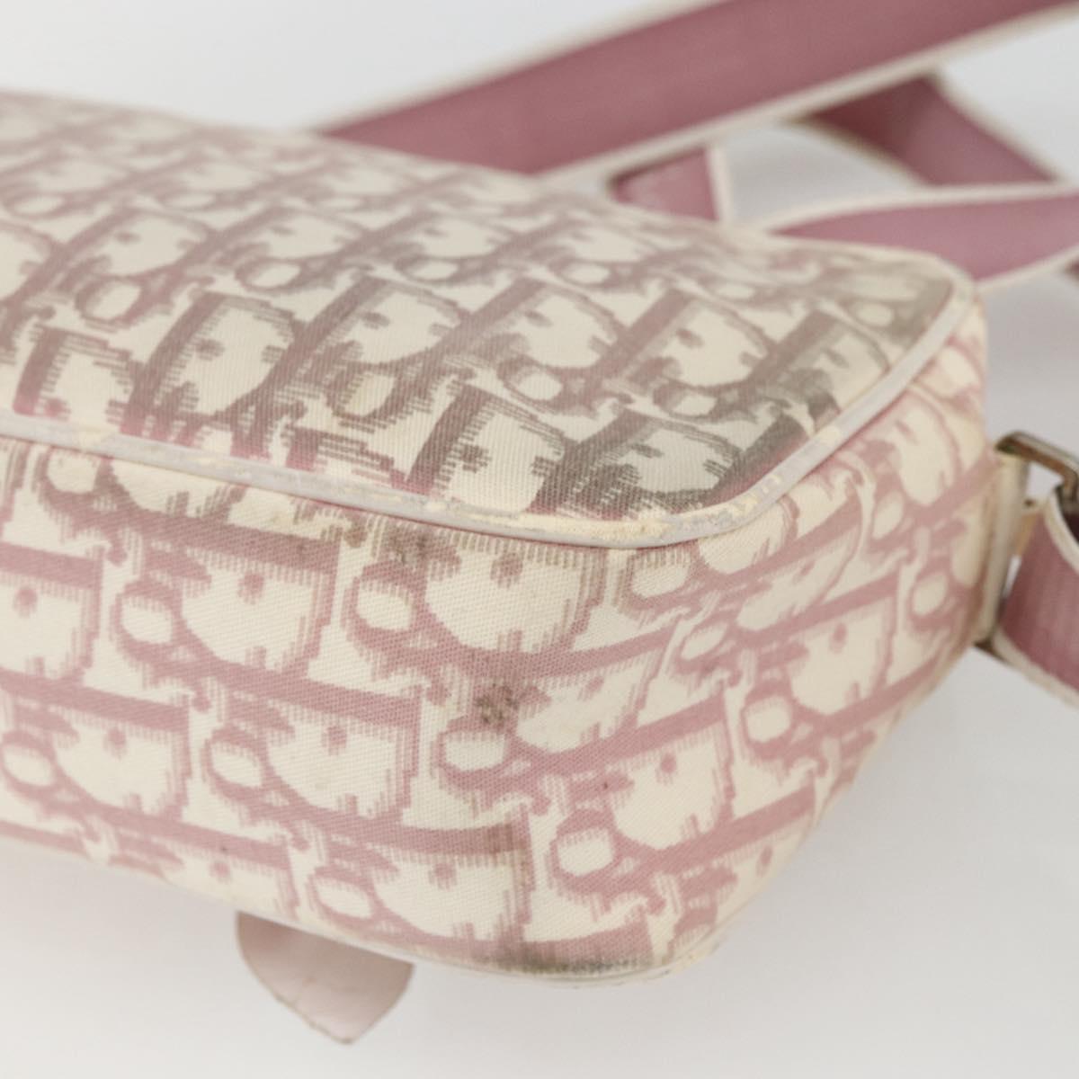 Christian Dior Trotter Canvas Shoulder Bag Pink Silver Auth bs32338