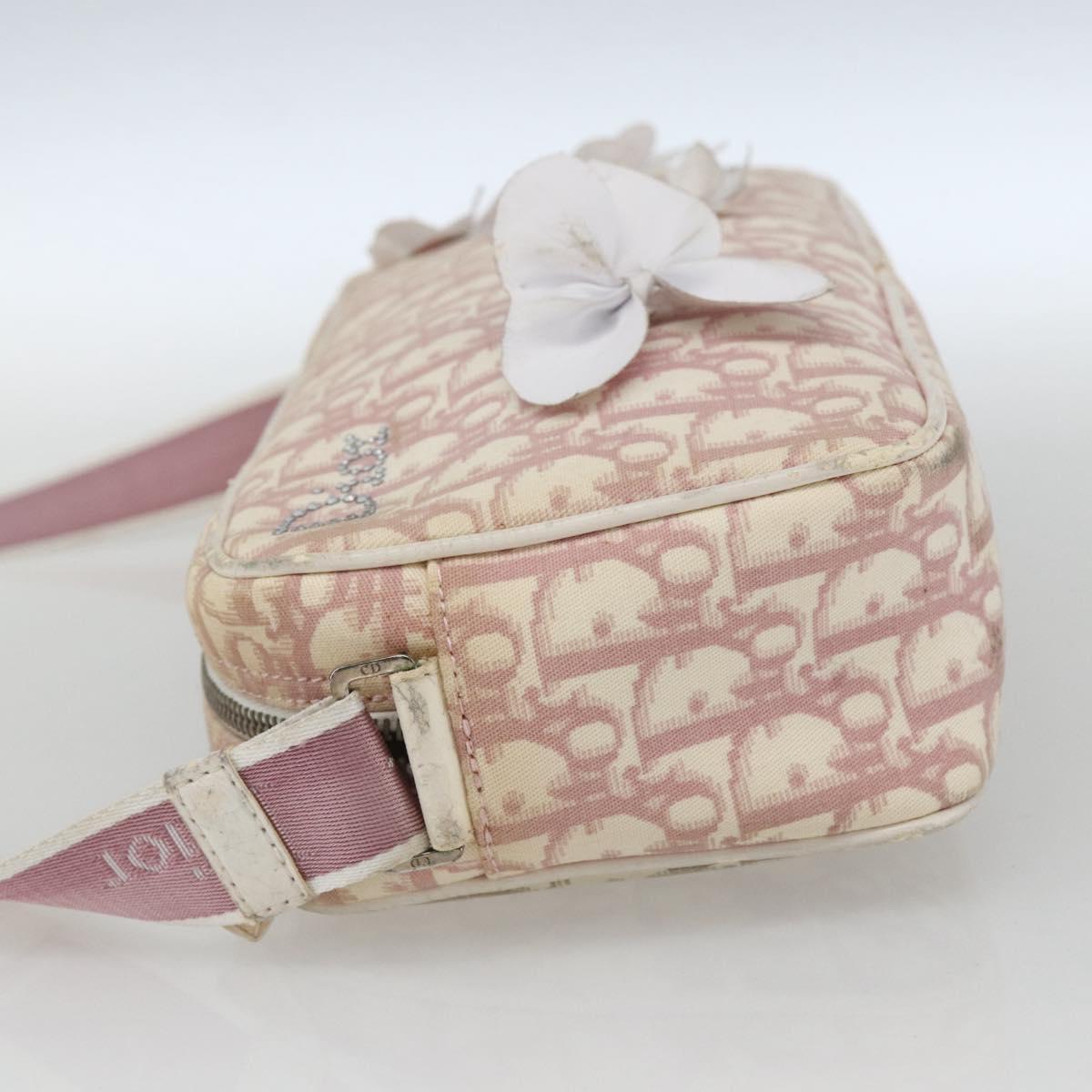 Christian Dior Trotter Canvas Shoulder Bag Pink Silver Auth bs32338