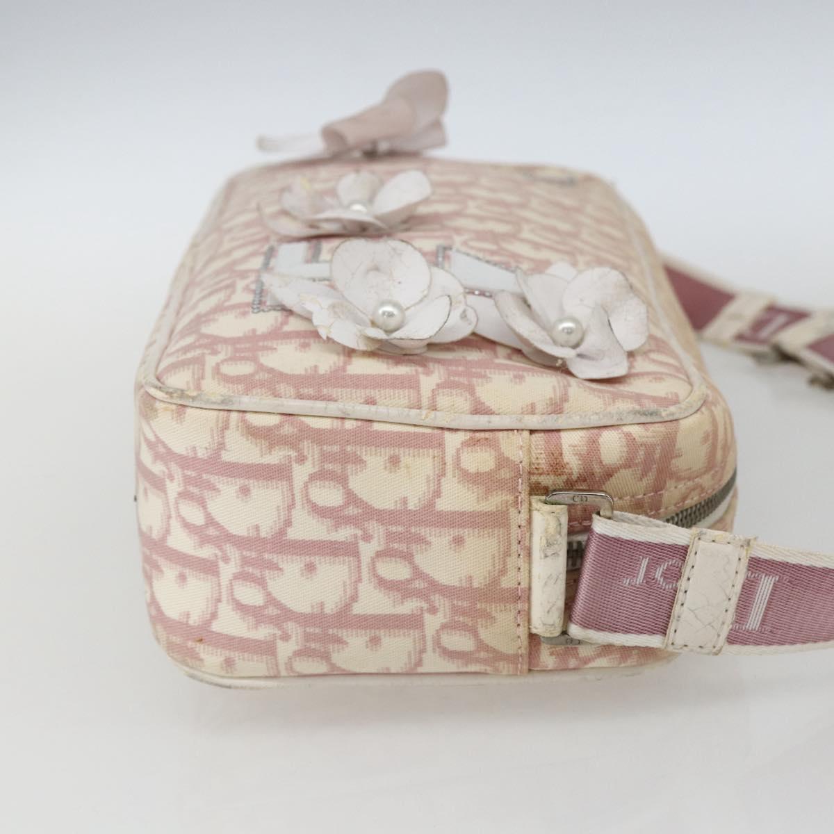 Christian Dior Trotter Canvas Shoulder Bag Pink Silver Auth bs32338