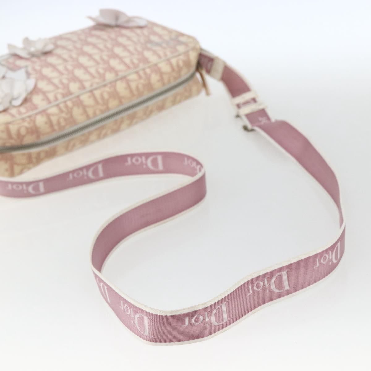 Christian Dior Trotter Canvas Shoulder Bag Pink Silver Auth bs32338