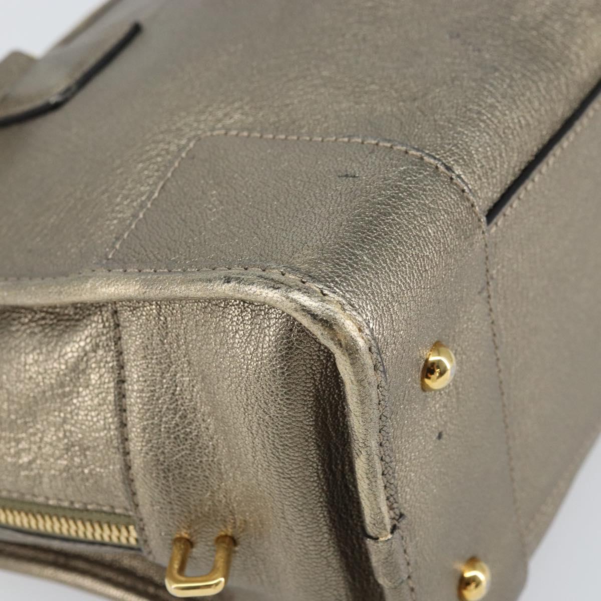LOEWE Amazonas Hand Bag Leather Gold Tone Auth bs33234