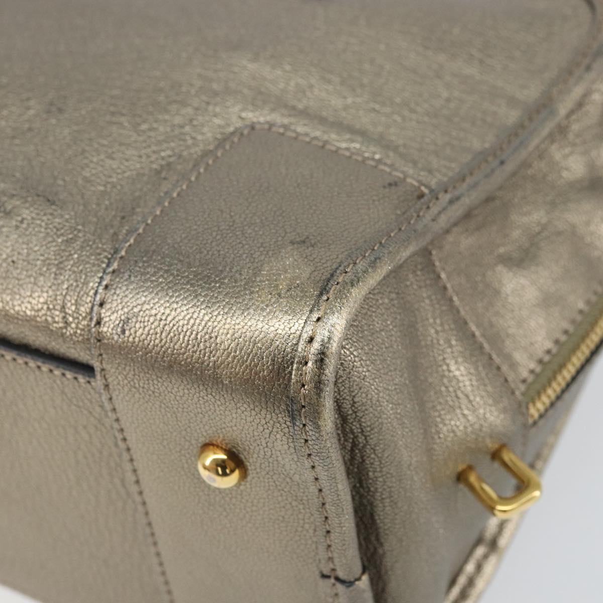 LOEWE Amazonas Hand Bag Leather Gold Tone Auth bs33234
