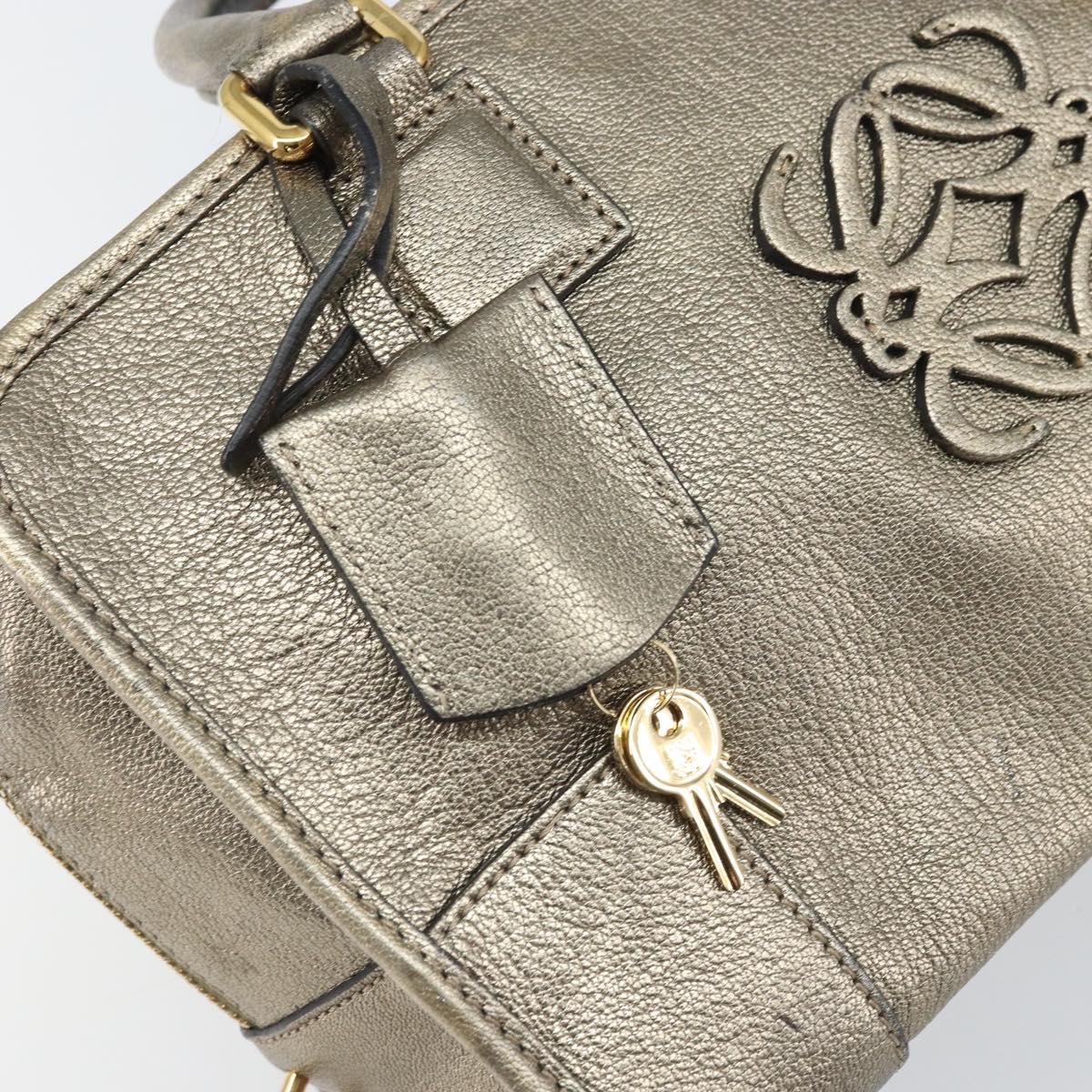 LOEWE Amazonas Hand Bag Leather Gold Tone Auth bs33234