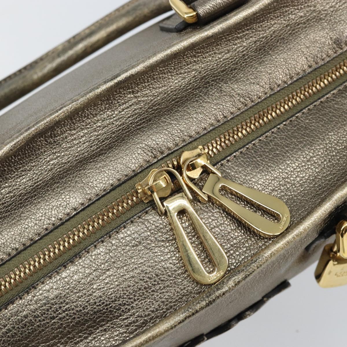 LOEWE Amazonas Hand Bag Leather Gold Tone Auth bs33234