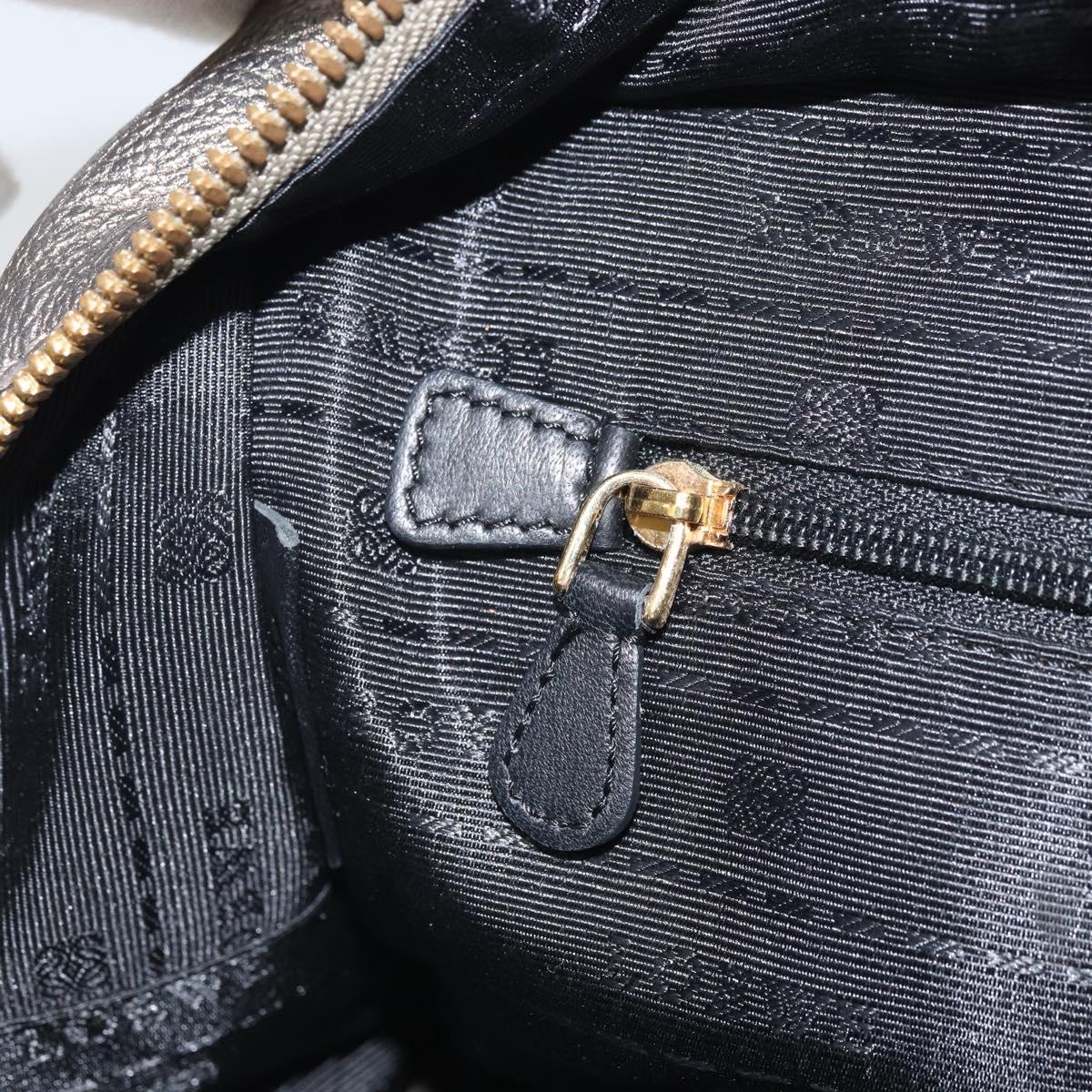 LOEWE Amazonas Hand Bag Leather Gold Tone Auth bs33234