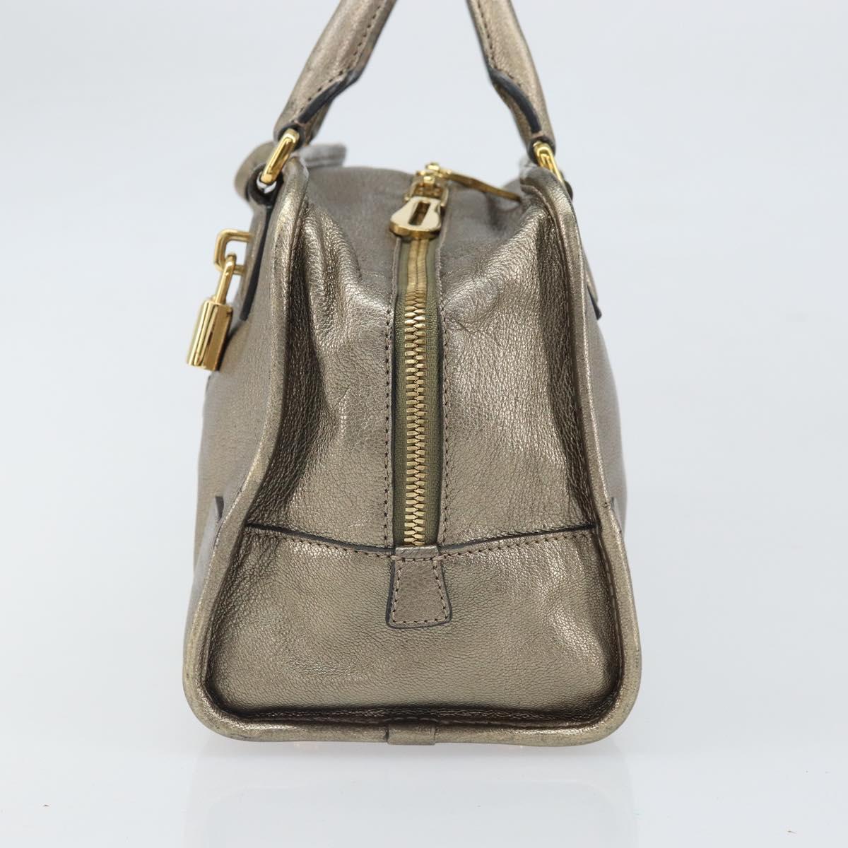 LOEWE Amazonas Hand Bag Leather Gold Tone Auth bs33234
