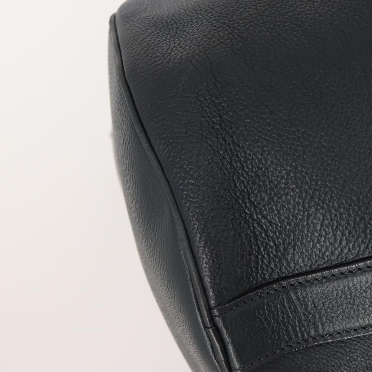 LOUIS VUITTON Boston Bag Taurillon ClemenceLeather 2way Black LV Auth bs34310