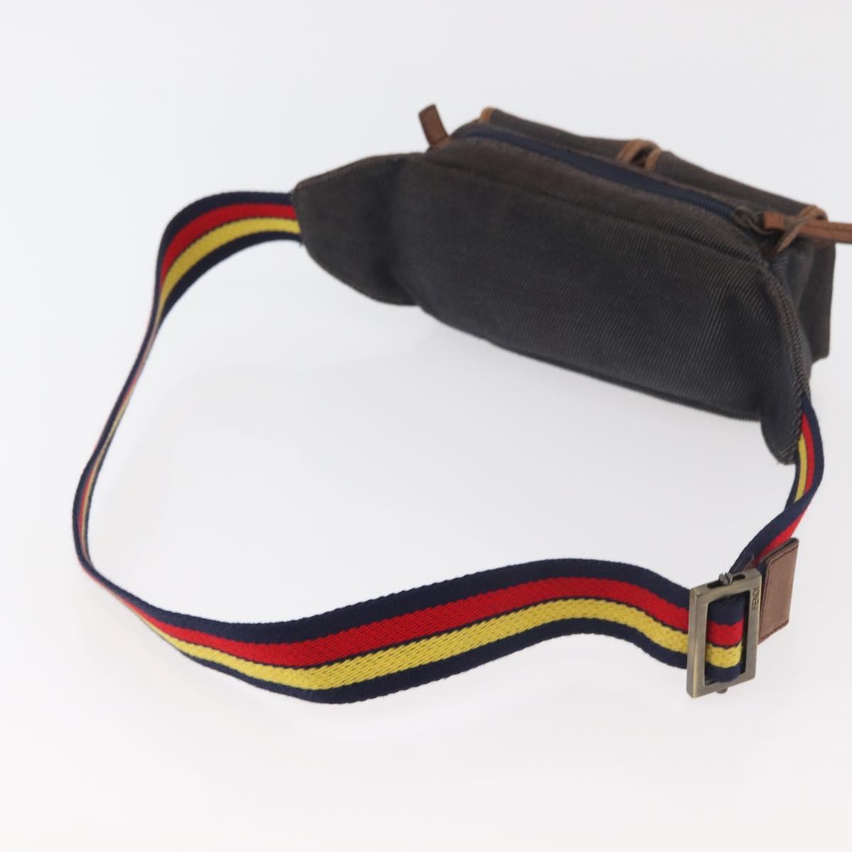 FENDI Waist bag Canvas Brown Auth bs34529
