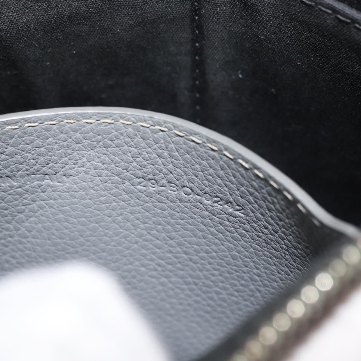 Christian Dior Clutch Bag Leather Gray Silver Auth bs34937
