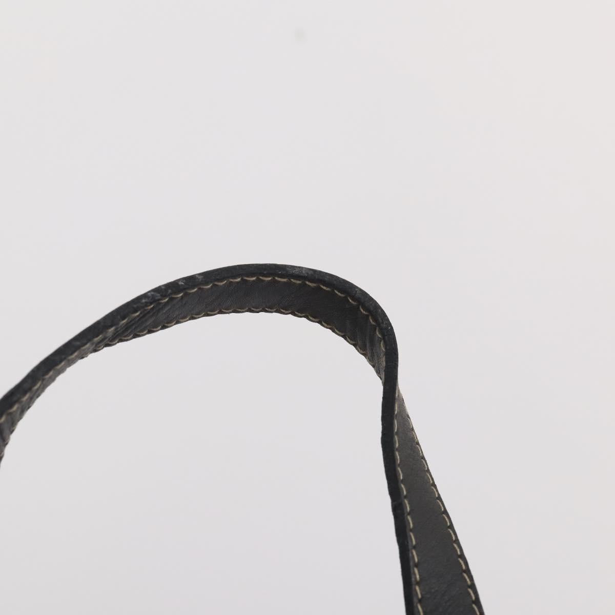 FENDI Zucchino Canvas Zucca Canvas Pecan Canvas Bag PVC 3 Set Auth bs35110