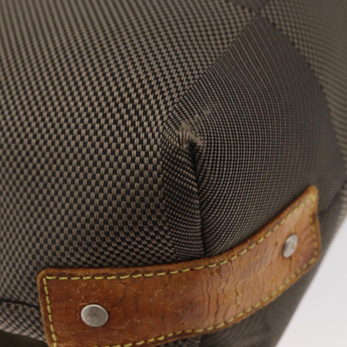 LOUIS VUITTON Damier Geant Roux Shoulder Bag Tail M93077 LV Auth bs35161
