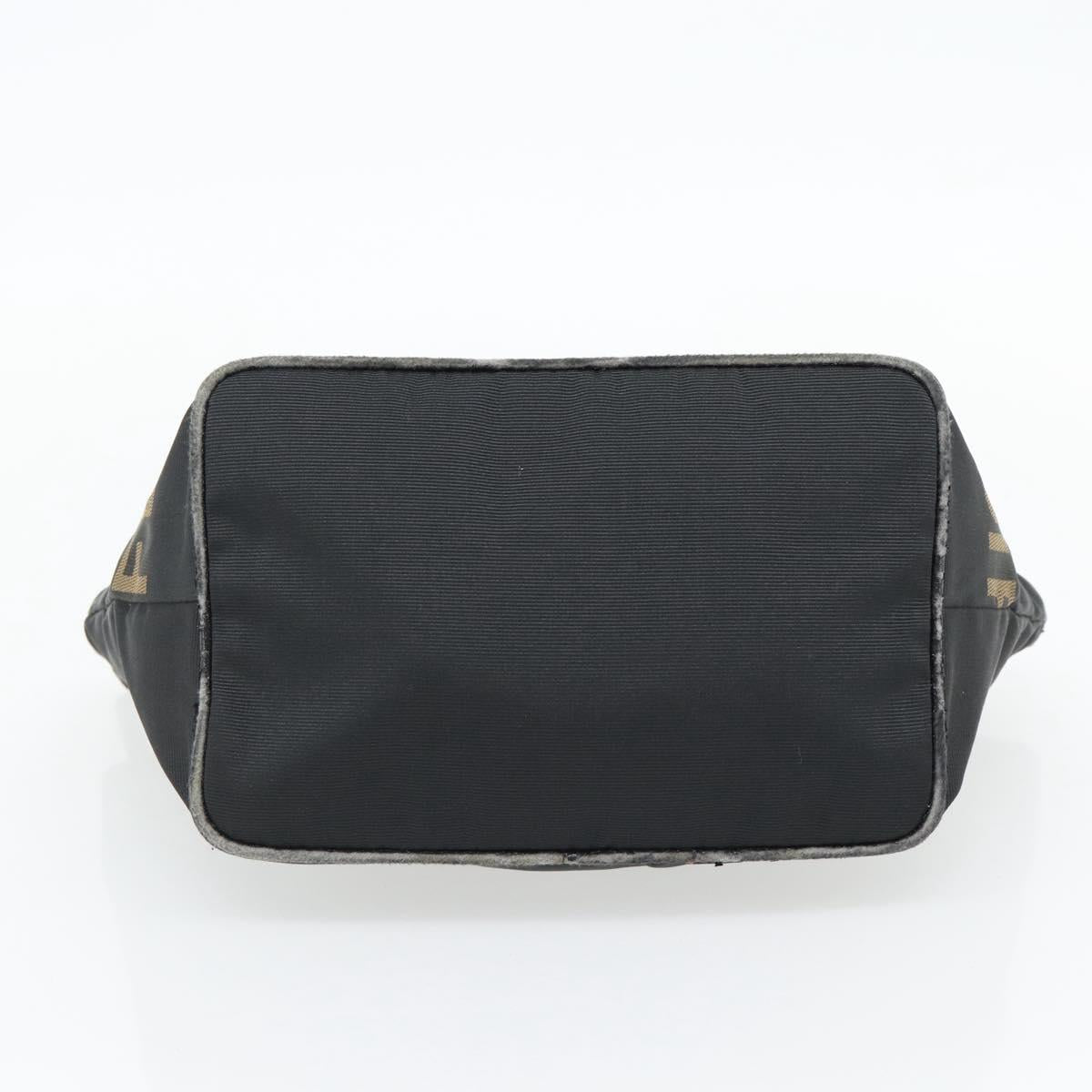 FENDI Hand Bag Nylon Black Silver Auth bs35293