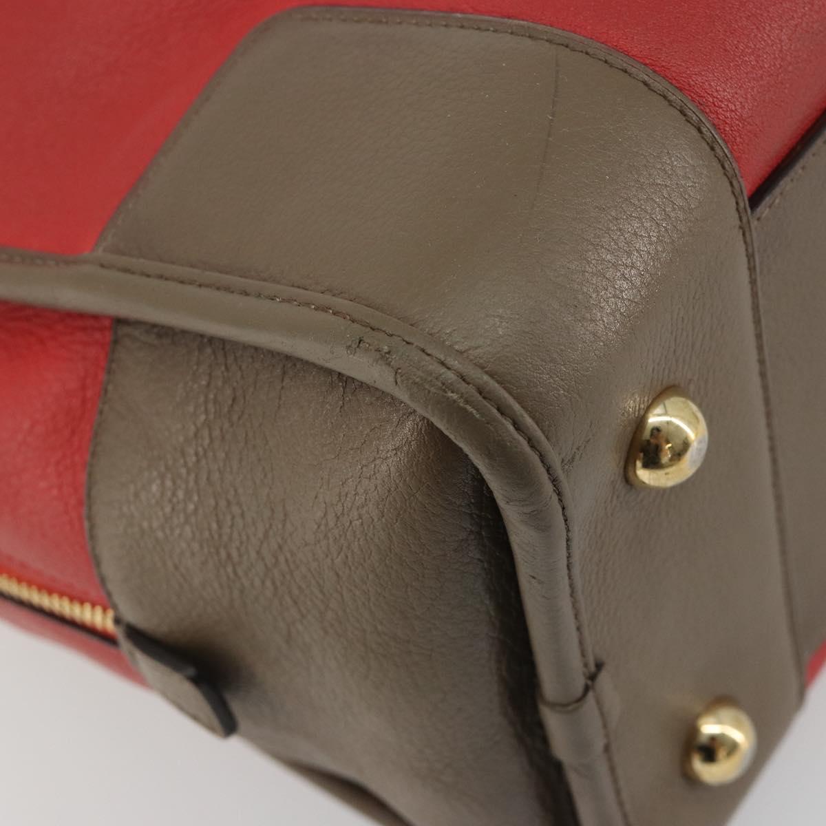 LOEWE Amazona 36 Hand Bag Leather Red Gold Auth bs35812