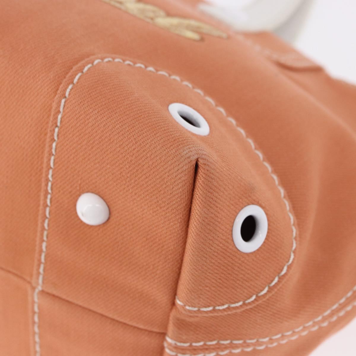 BURBERRY Blue Label Hand Bag Canvas Orange Silver Auth bs36076A