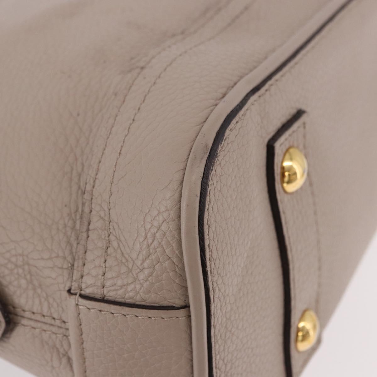 LOUIS VUITTON Parnasea Alma PM Hand Bag Leather Galet M48892 LV Auth bs36103