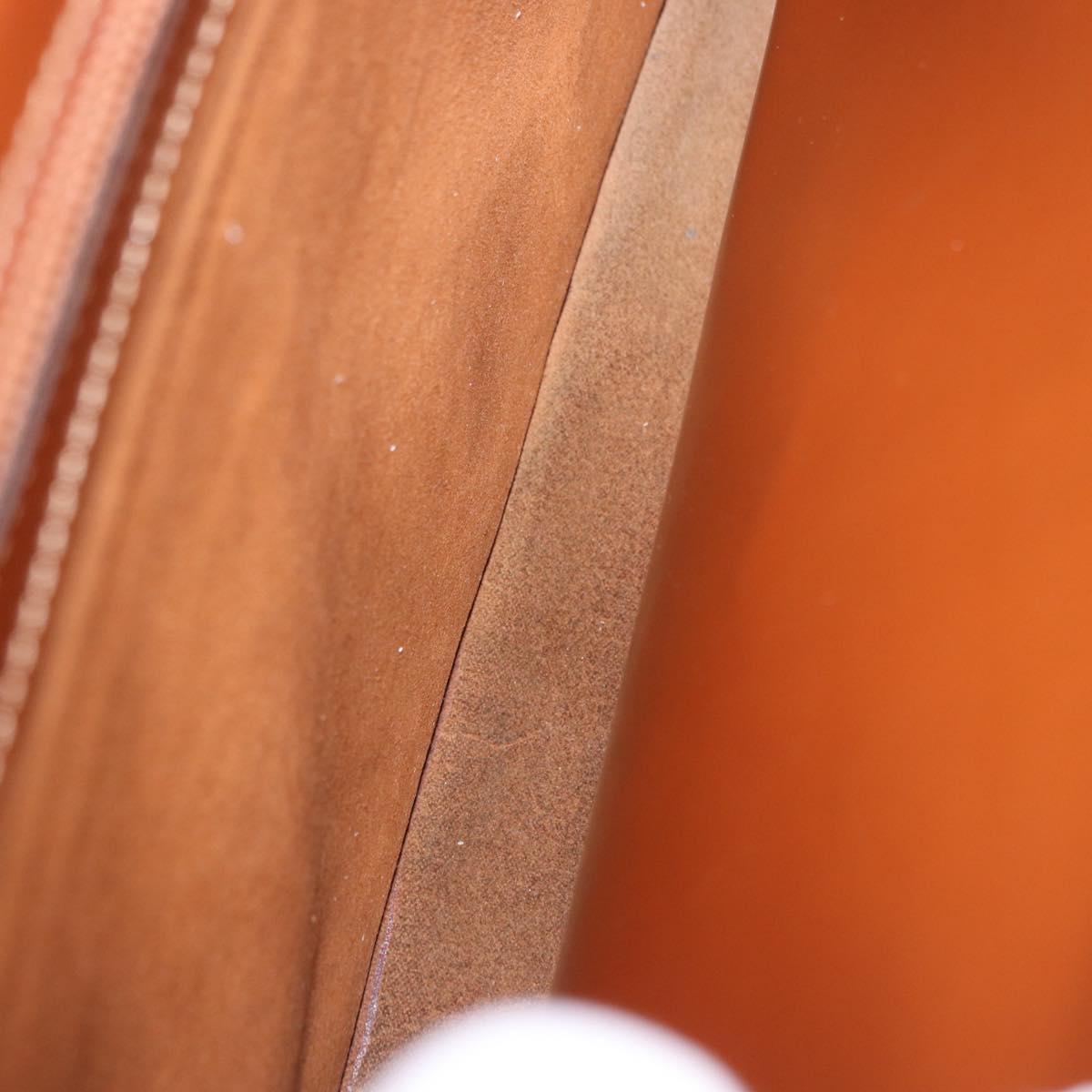 LOEWE Business Bag Leather Brown Gold Auth bs36313