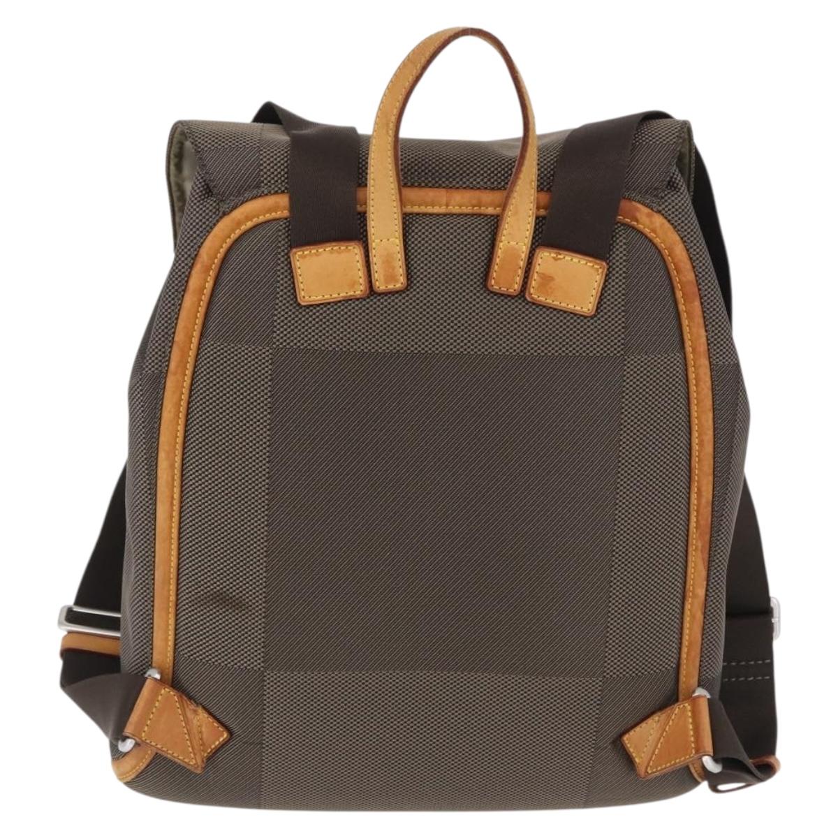 LOUIS VUITTON Damier Geant Pionie Backpack Canvas Tail M93055 LV Auth bs36554