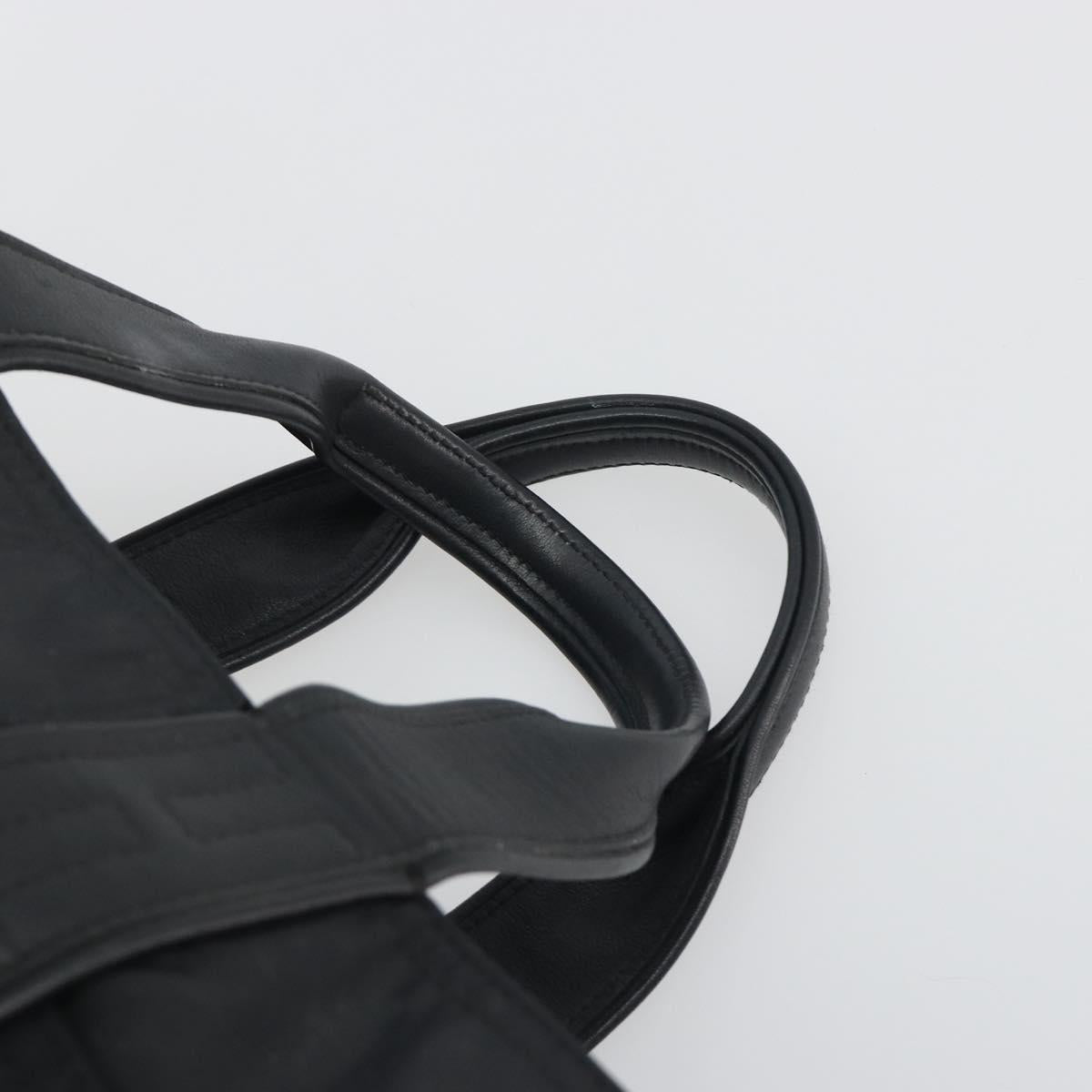HERMES Acape Luco PM Hand Bag Nylon Black Auth bs36629
