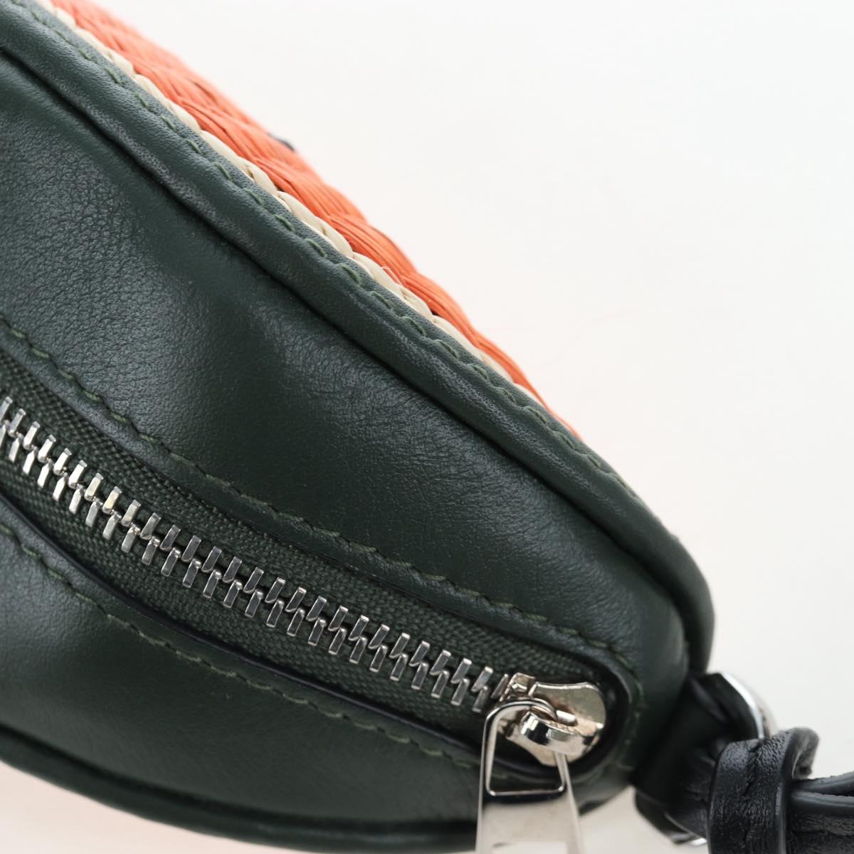 LOEWE Coin Purse Raffia Paula's Visa Collection Orange Auth bs36956M