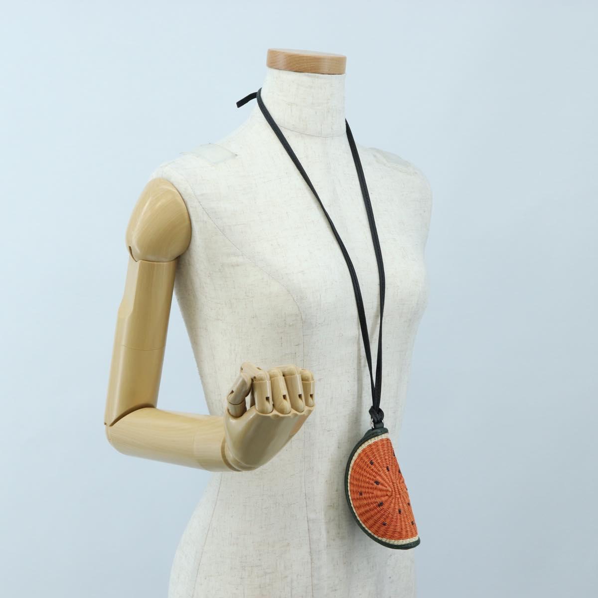 LOEWE Coin Purse Raffia Paula's Visa Collection Orange Auth bs36956M
