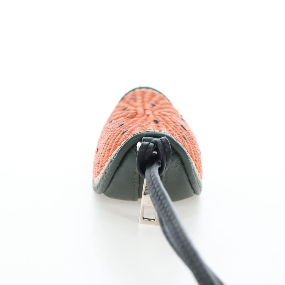 LOEWE Coin Purse Raffia Paula's Visa Collection Orange Auth bs36956M