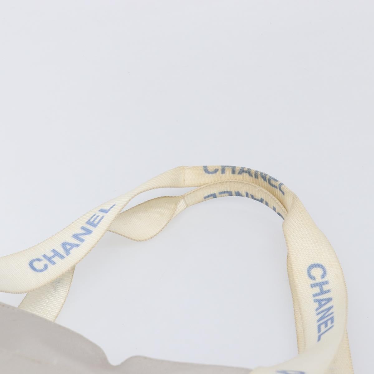 CHANEL Sports Tote Bag Nylon Gray Silver CC Auth bs37193