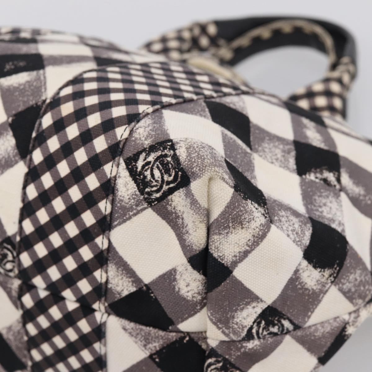 CHANEL Cruise Line Hand Bag Canvas Black White CC Auth bs37391A