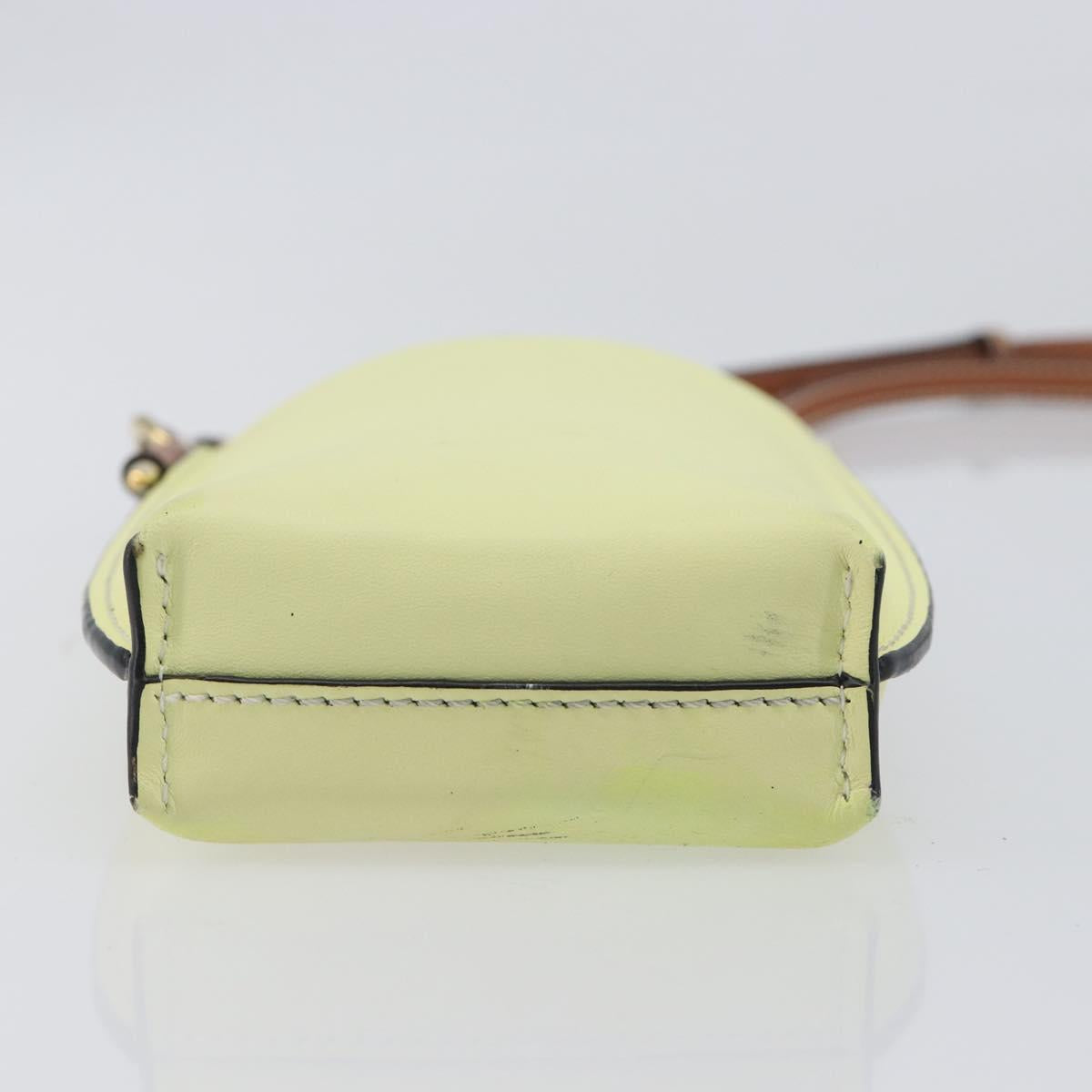 LOEWE Smartphone Shoulder Gate Pocket Bag Leather Yellow Gold Auth bs37493