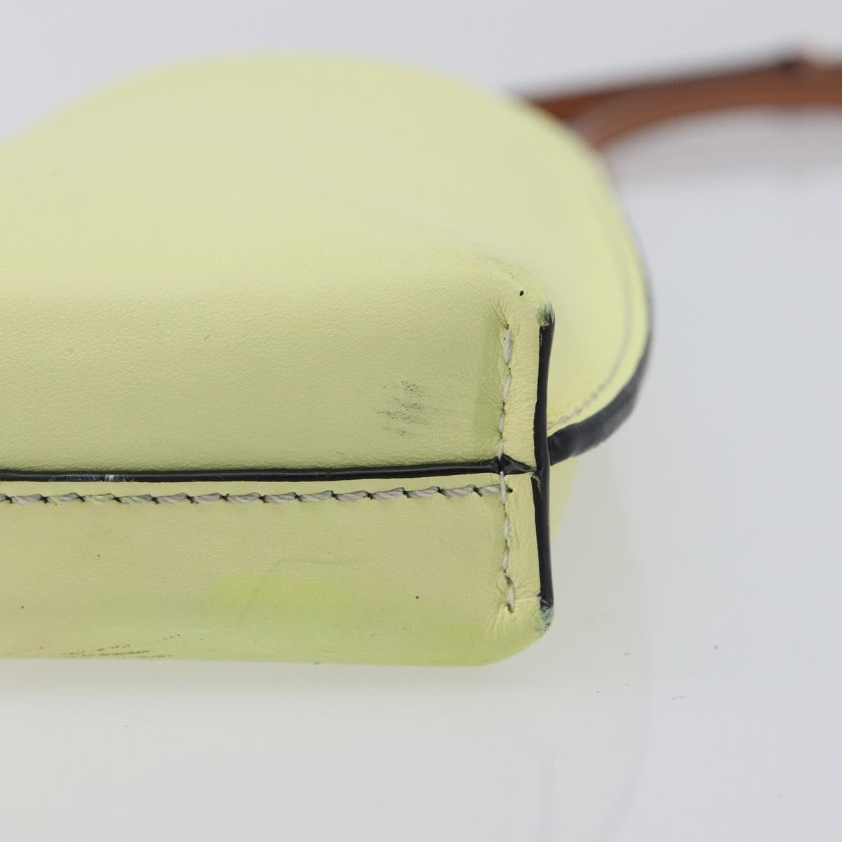 LOEWE Smartphone Shoulder Gate Pocket Bag Leather Yellow Gold Auth bs37493