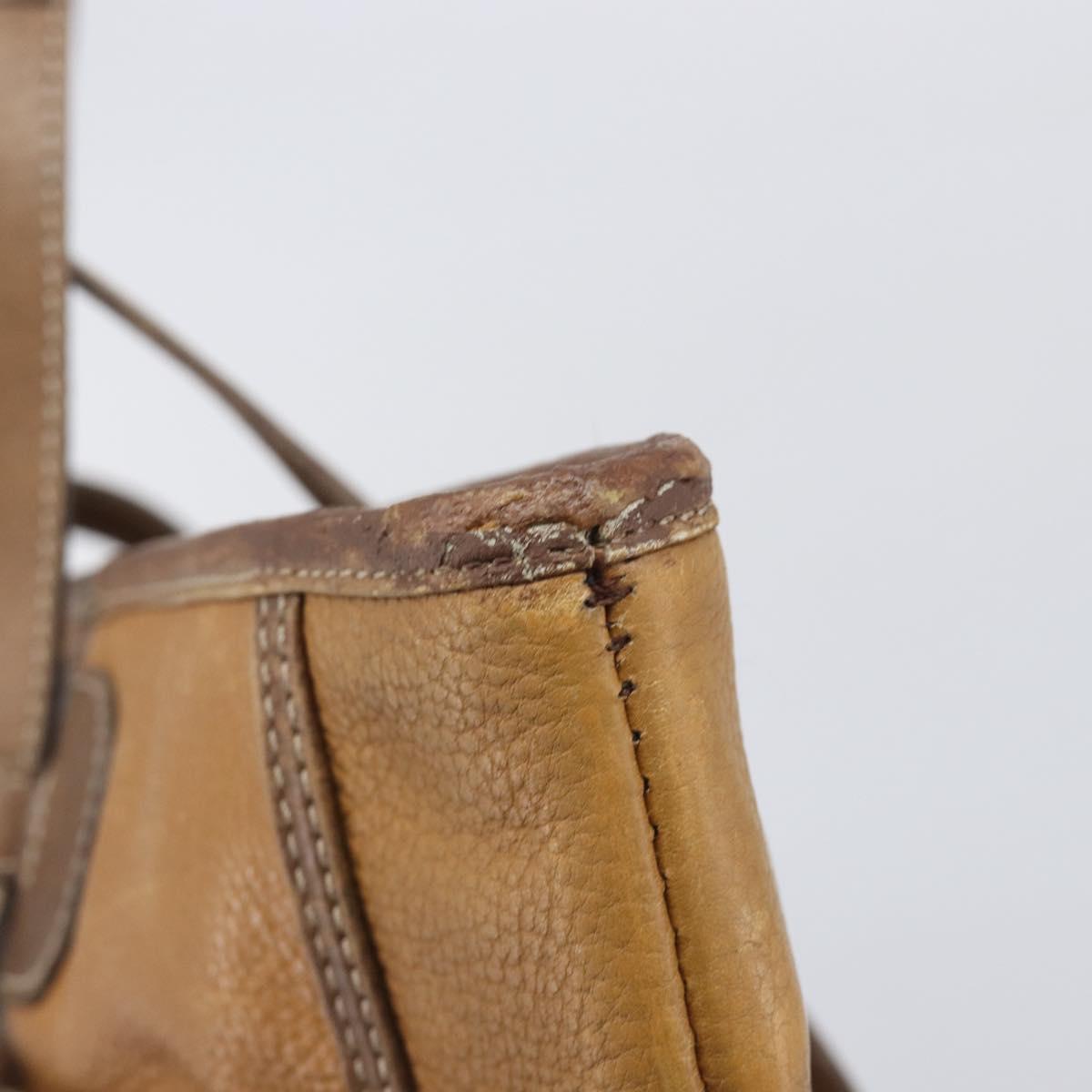 LOEWE Tote Bag Leather Brown Gold Auth bs37495