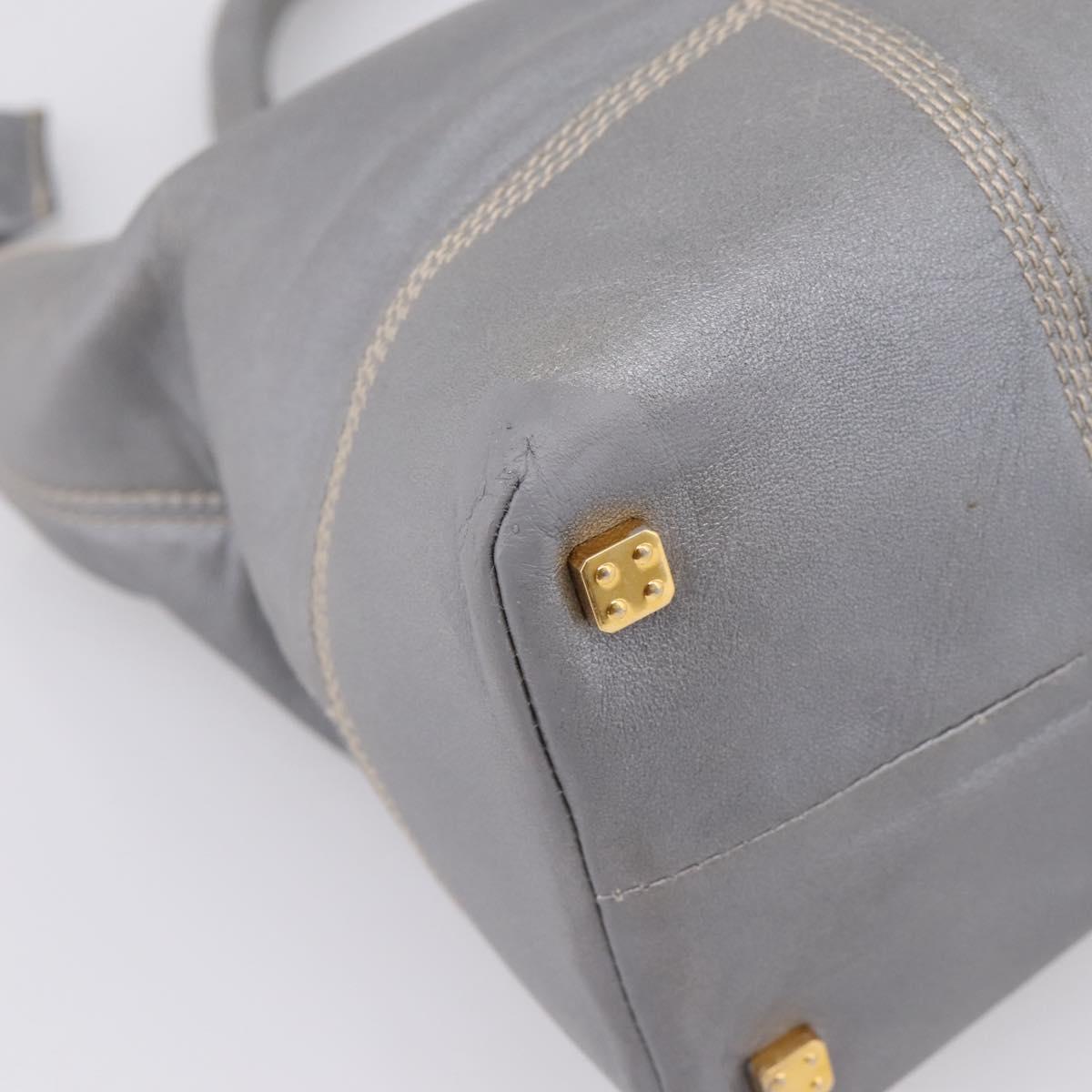 LOEWE Anagram Amazona Justa Hand Bag Leather Gold Silver Auth bs37721