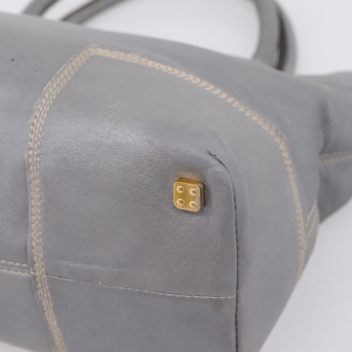 LOEWE Anagram Amazona Justa Hand Bag Leather Gold Silver Auth bs37721
