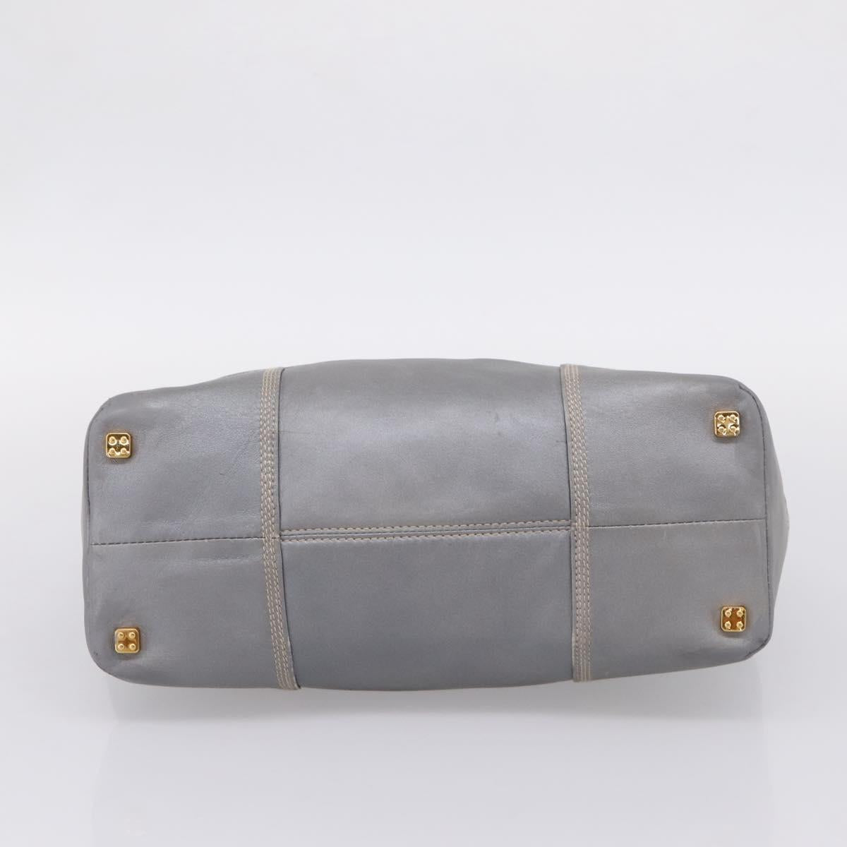 LOEWE Anagram Amazona Justa Hand Bag Leather Gold Silver Auth bs37721