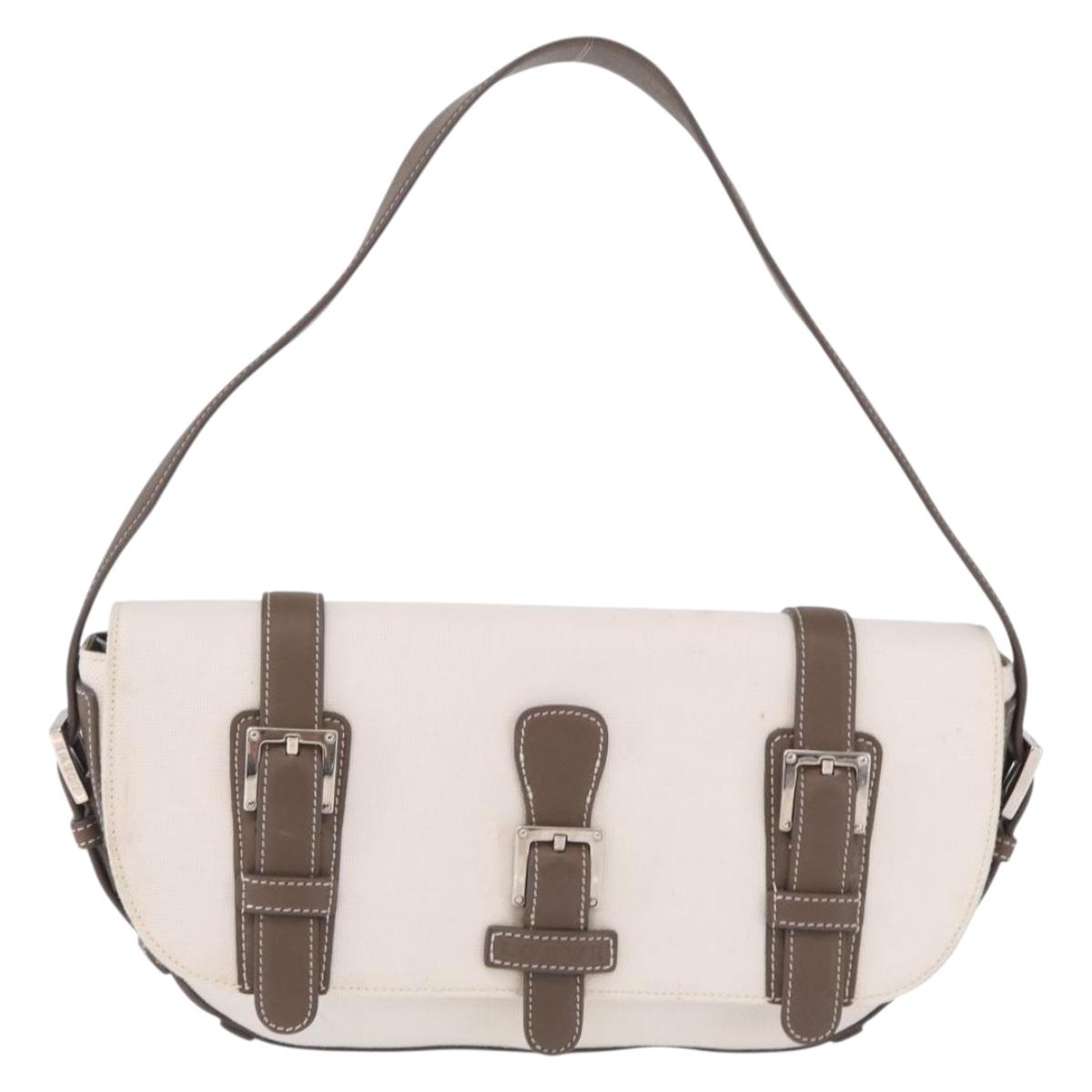 LOEWE Shoulder Bag Canvas White Silver Auth bs37789A