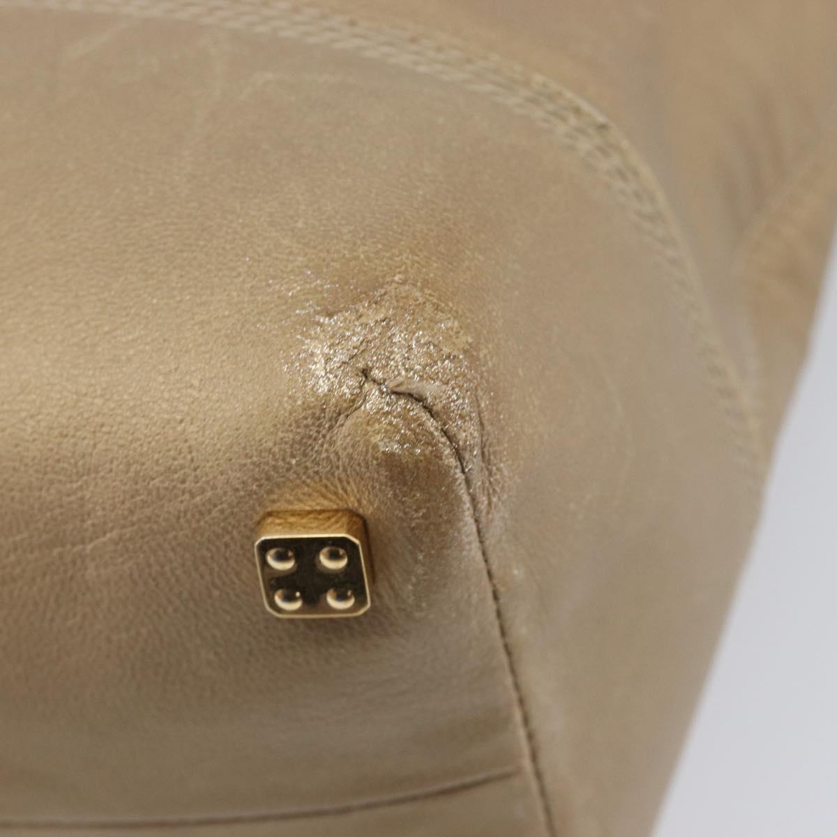 LOEWE Americana 28 Hand Bag Leather Gold Tone Auth bs38035