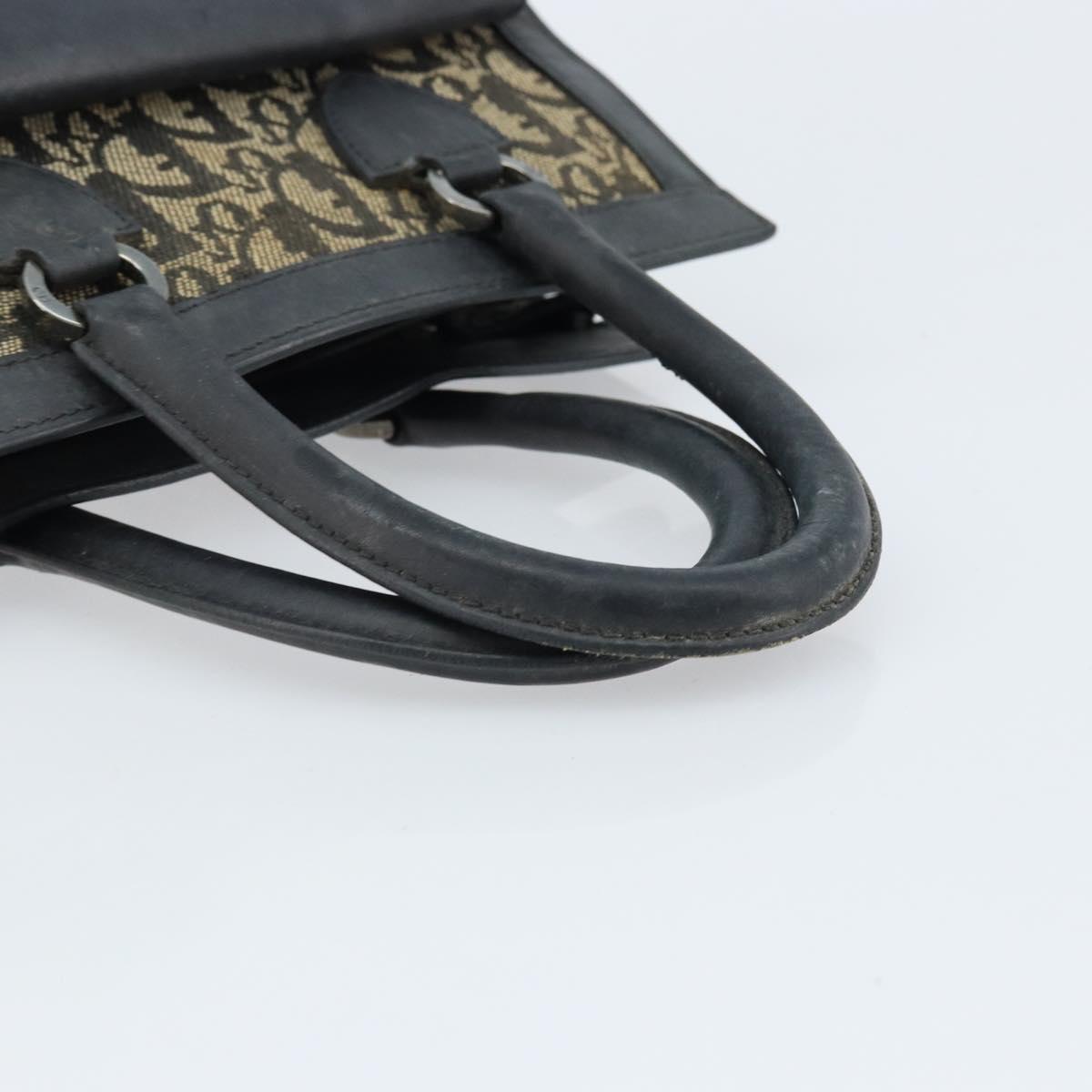 Christian Dior Trotter Canvas Hand Bag Black Silver Auth BSZ335