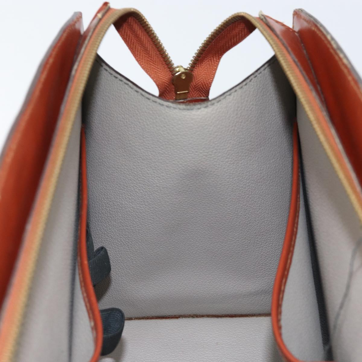 LOUIS VUITTON Epi Riviera Hand Bag Brown M48183 LV Auth BSZ518
