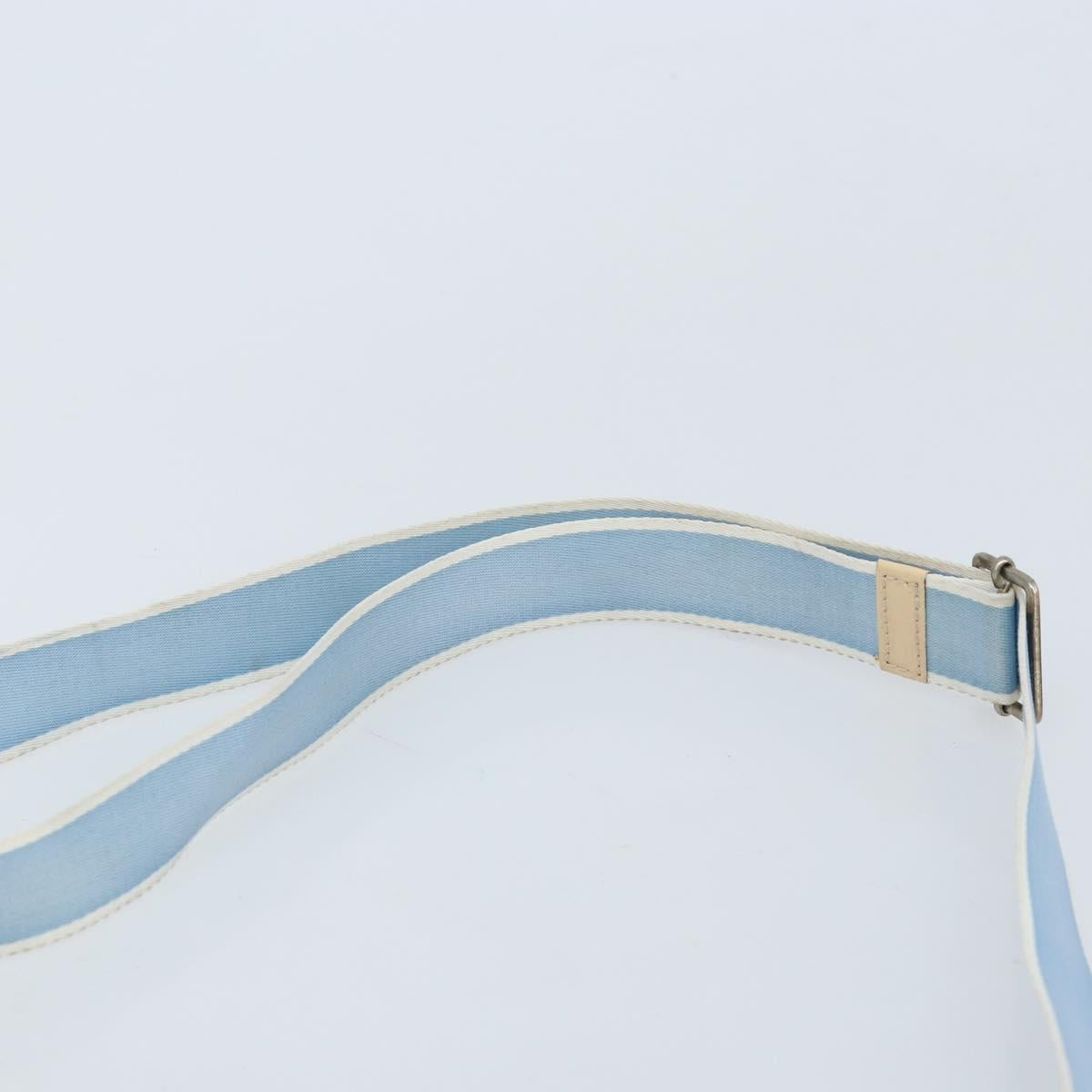 Christian Dior Trotter Canvas Shoulder Bag PVC Light Blue Silver Auth BSZ617