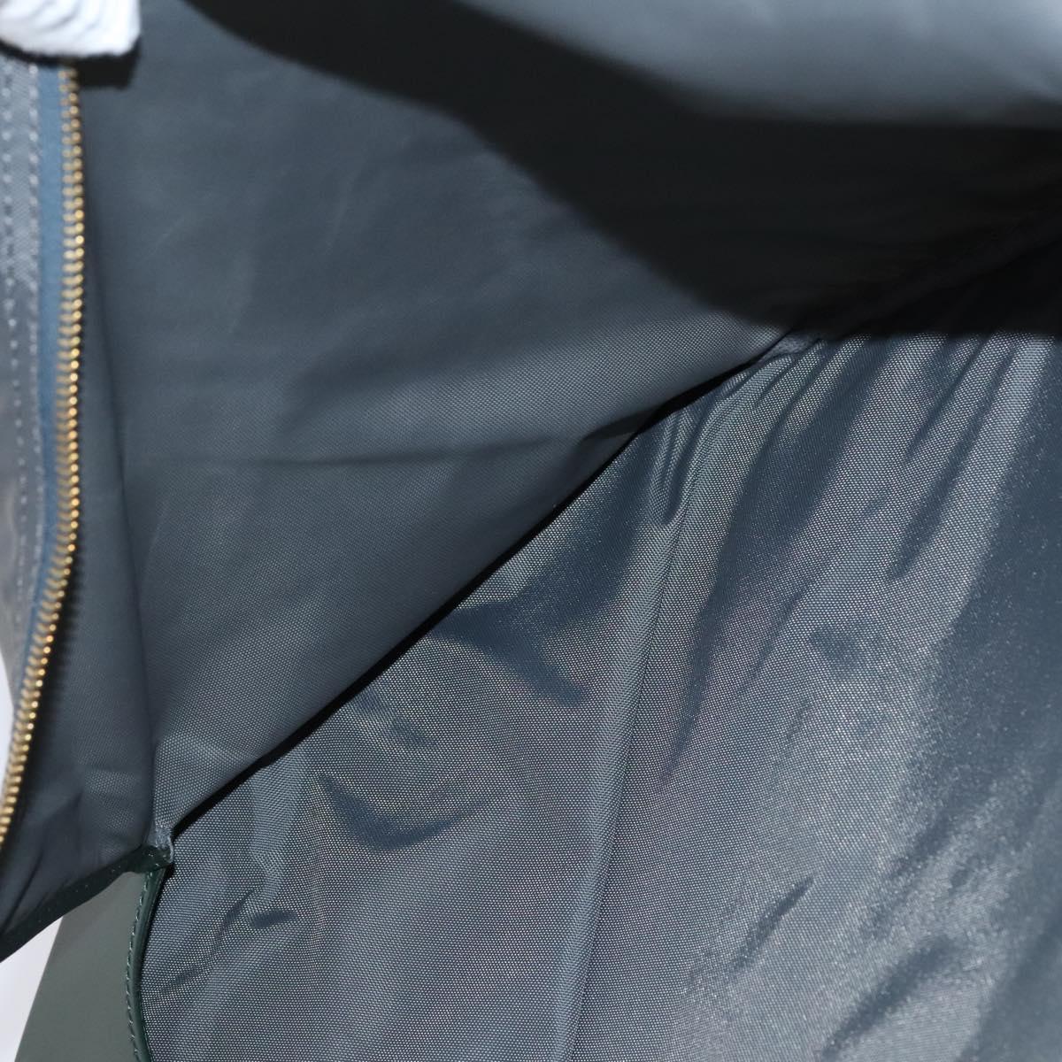 LOUIS VUITTON Taiga Bering Garment Cover Epicea M30134 LV Auth EC487