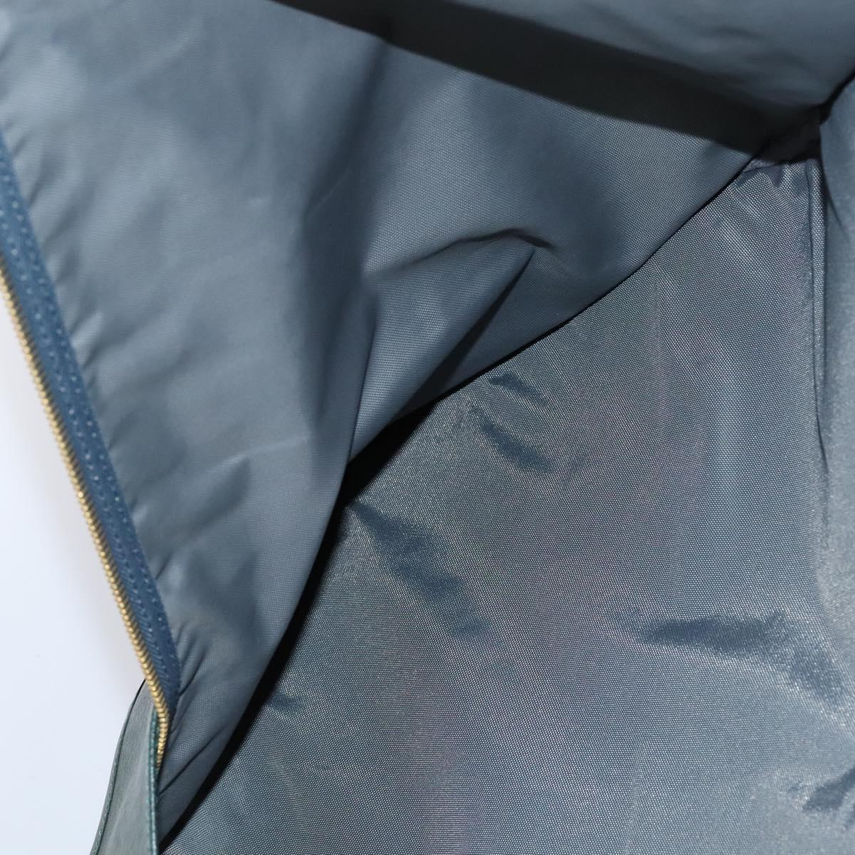 LOUIS VUITTON Taiga Bering Garment Cover Epicea M30134 LV Auth EC487