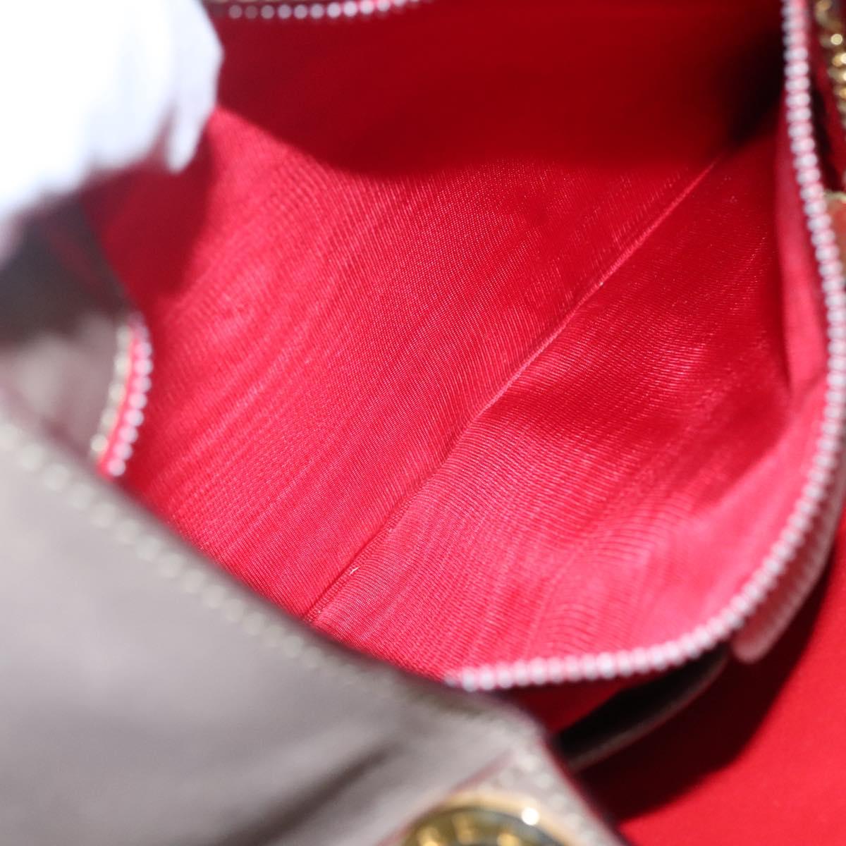 CELINE Shoulder Bag Leather Brown Gold Auth EC529