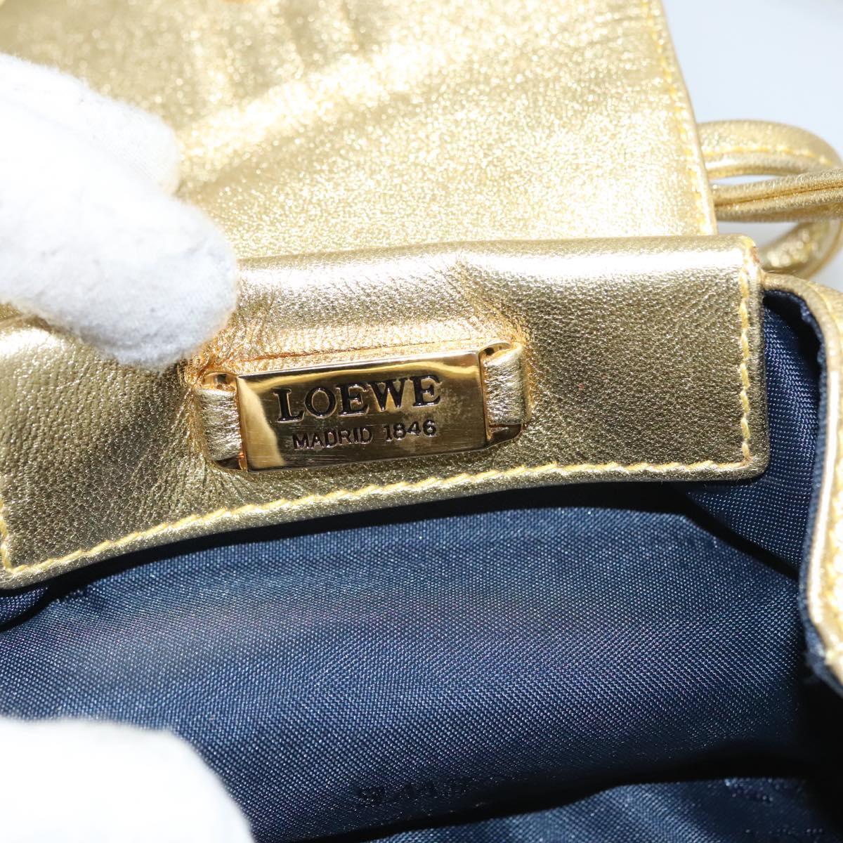 LOEWE Shoulder Bag Leather Gold Tone Auth EC925