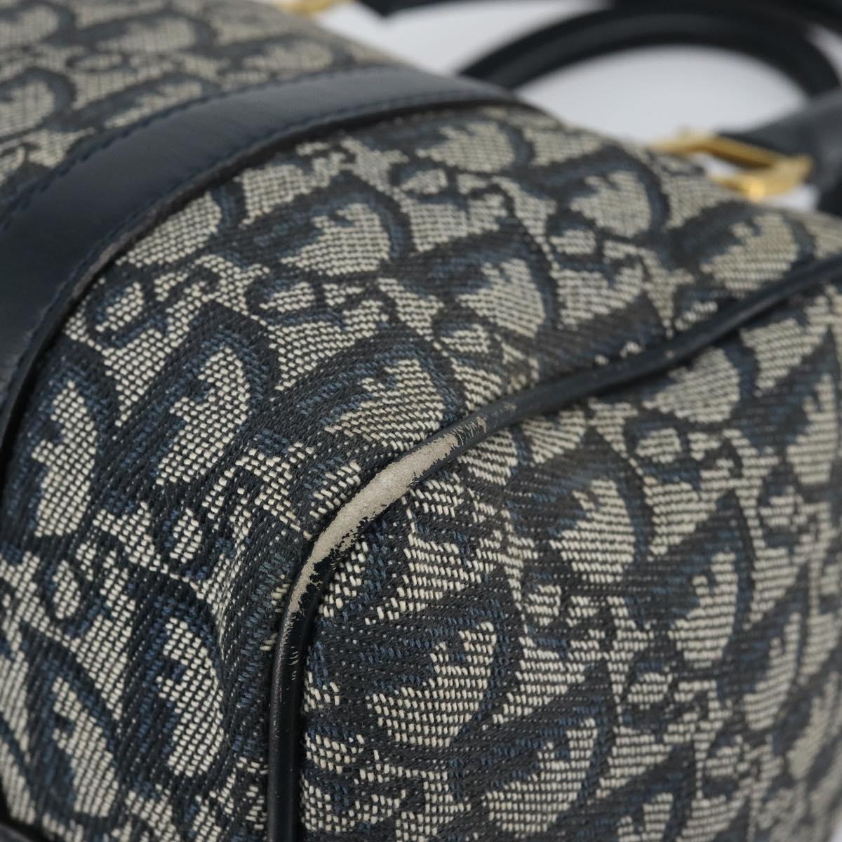 Christian Dior Trotter Canvas Hand Bag Canvas Navy Auth ep11158