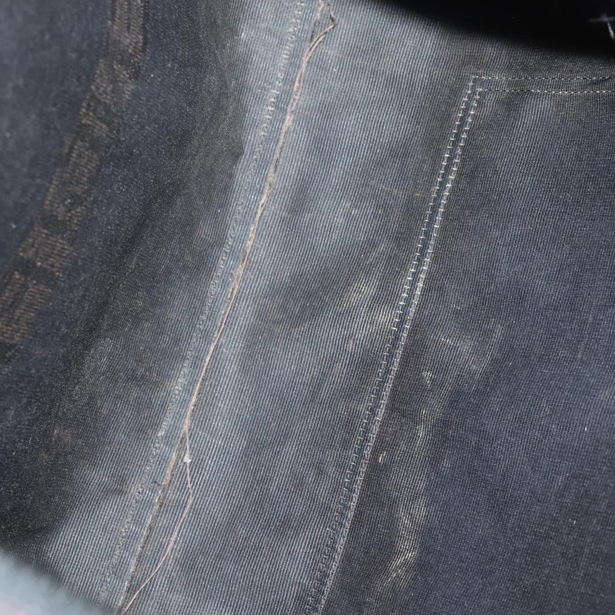 FENDI Tote Bag Nylon Black Silver Auth ep11611