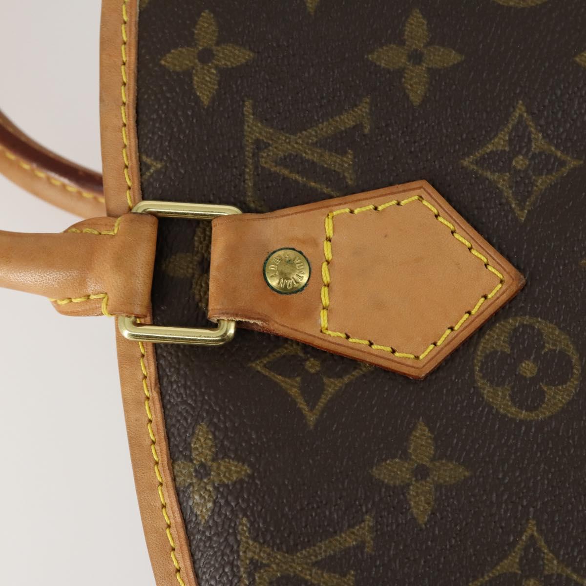 LOUIS VUITTON Monogram Garment Cover LV Auth ep12548