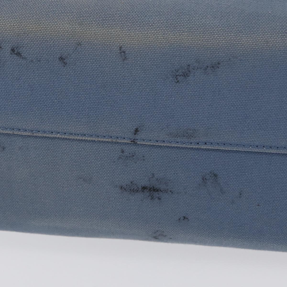 LOEWE Tote Bag Canvas Light Blue Silver Auth ep13411