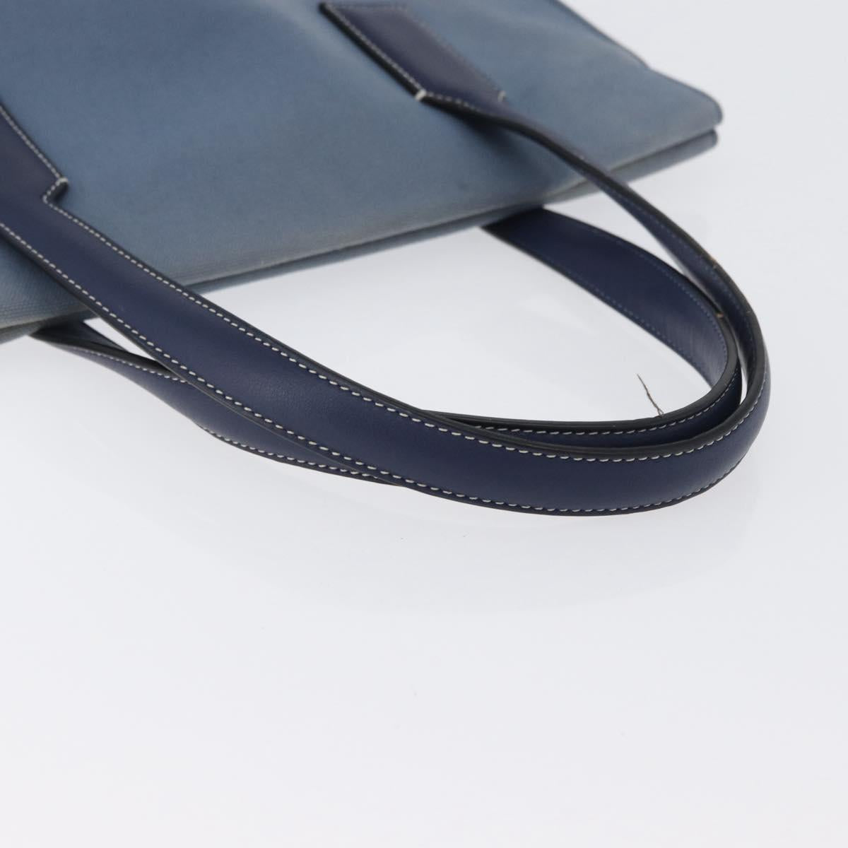 LOEWE Tote Bag Canvas Light Blue Silver Auth ep13411